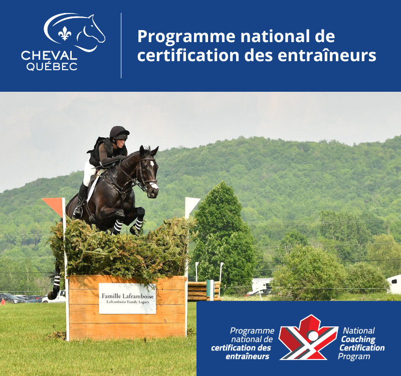 Entraîneur Compétition-Développement PNCE/CE en concours complet